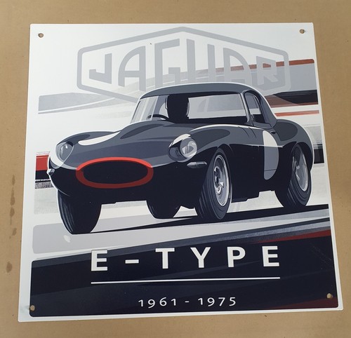 Type jag 12 metal - jag, x